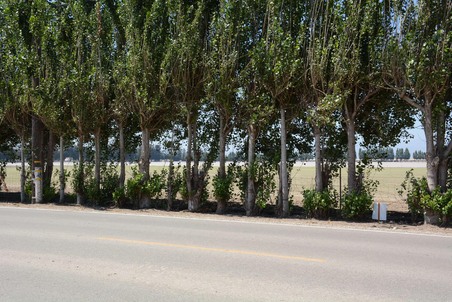 Enlarge photo 39