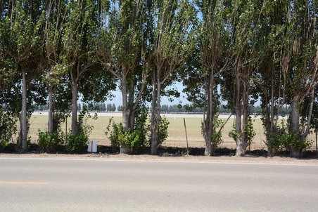 Enlarge photo 40