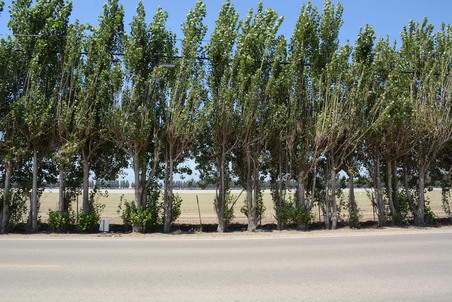 Enlarge photo 41