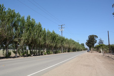 Enlarge photo 46