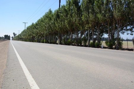 Enlarge photo 52