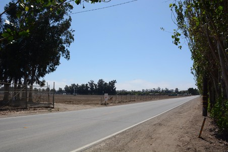 Enlarge photo 55