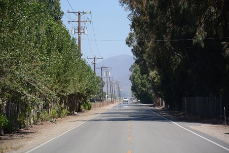 Enlarge photo 56