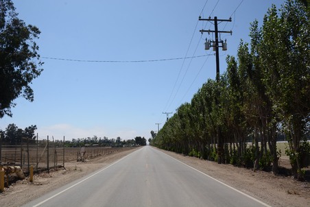 Enlarge photo 58