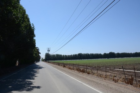 Enlarge photo 60