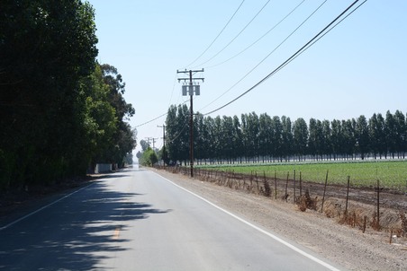 Enlarge photo 61