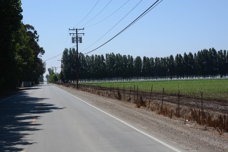 Enlarge photo 62