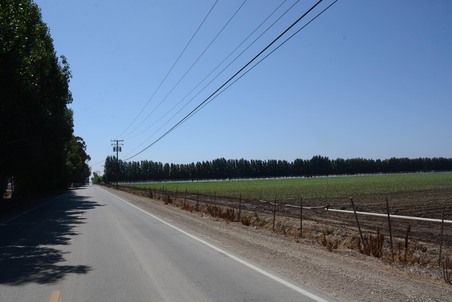 Enlarge photo 63