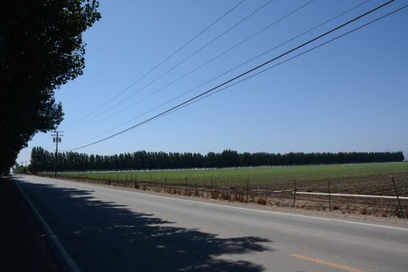 Enlarge photo 64