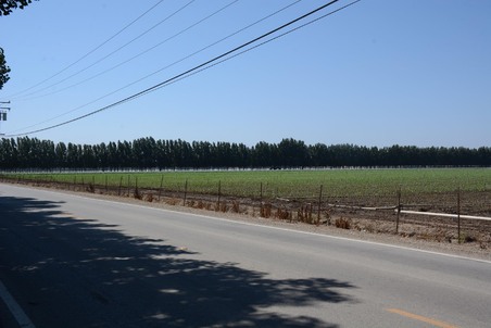 Enlarge photo 66