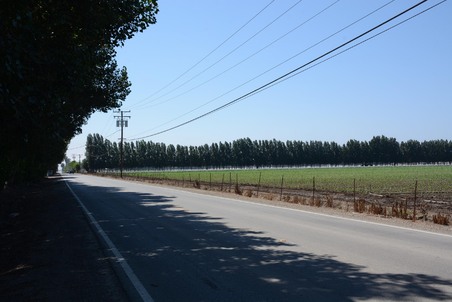 Enlarge photo 67