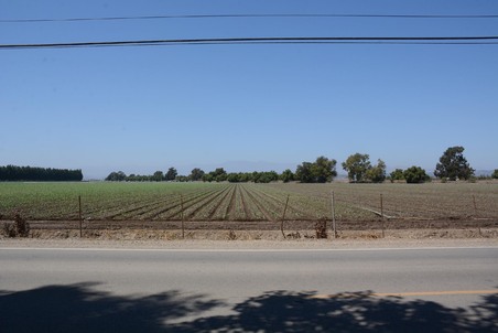 Enlarge photo 69