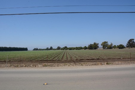 Enlarge photo 71
