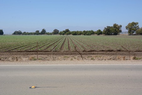 Enlarge photo 72