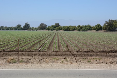 Enlarge photo 73