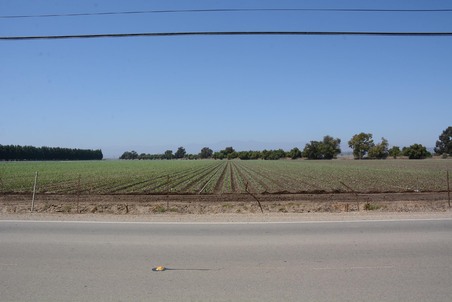 Enlarge photo 76