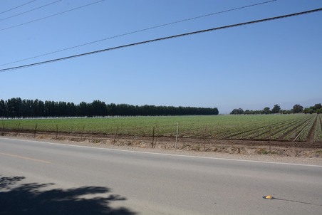 Enlarge photo 77