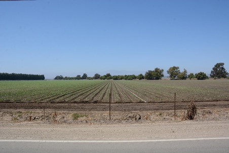 Enlarge photo 81
