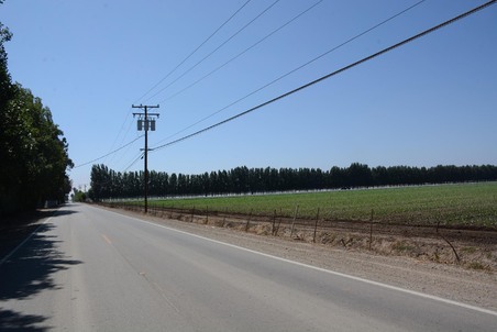 Enlarge photo 82