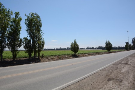 Enlarge photo 85