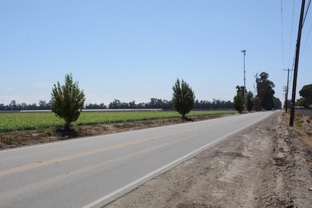 Enlarge photo 86