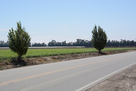 Enlarge photo 87