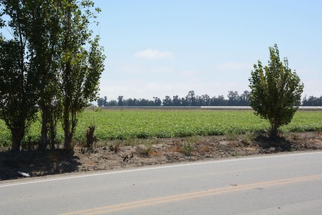 Enlarge photo 88