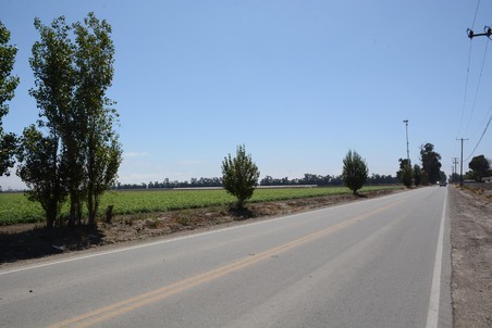 Enlarge photo 89