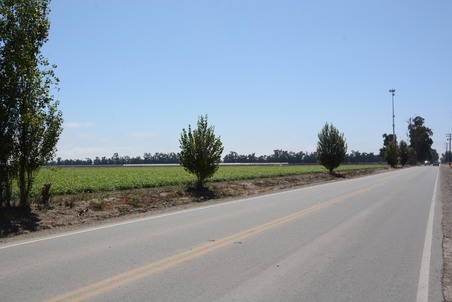 Enlarge photo 90
