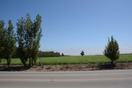 Enlarge photo 95