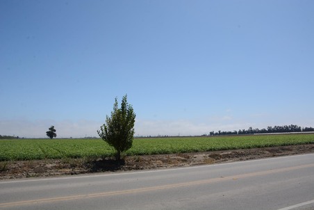 Enlarge photo 96