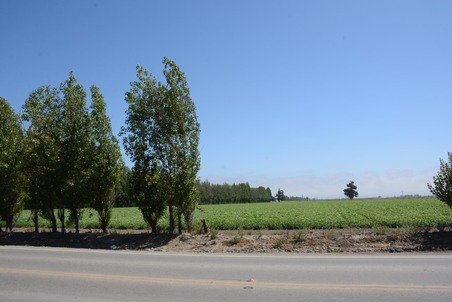 Enlarge photo 98