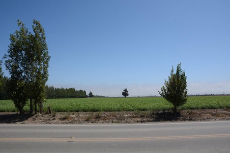 Enlarge photo 99