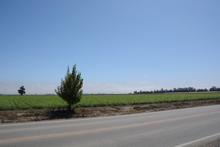 Enlarge photo 100