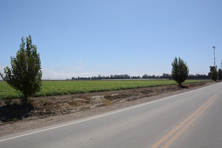 Enlarge photo 103