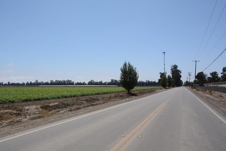 Enlarge photo 104