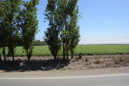 Enlarge photo 105