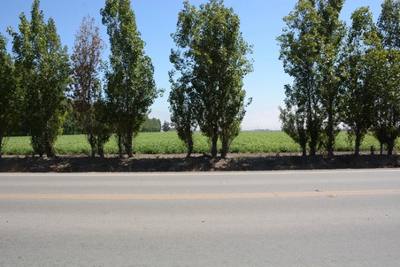 Enlarge photo 112
