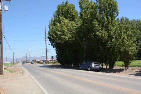 Enlarge photo 113