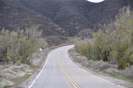 Enlarge photo 28