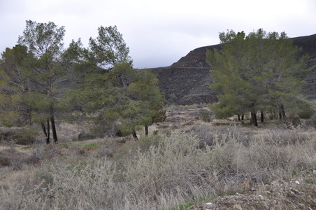 Enlarge photo 34