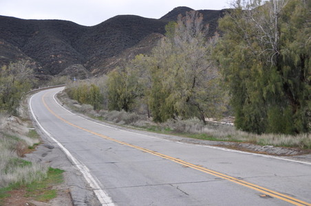 Enlarge photo 35