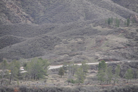 Enlarge photo 48