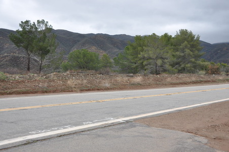 Enlarge photo 63