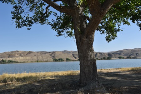 Enlarge photo 20