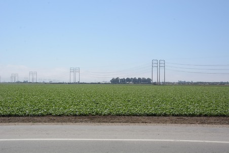 Enlarge photo 26