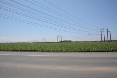 Enlarge photo 40