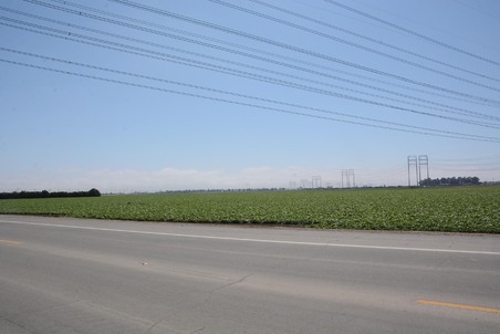 Enlarge photo 41