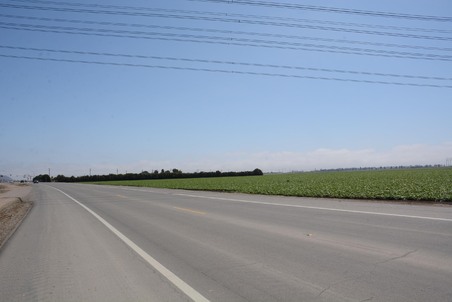 Enlarge photo 42