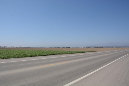Enlarge photo 45